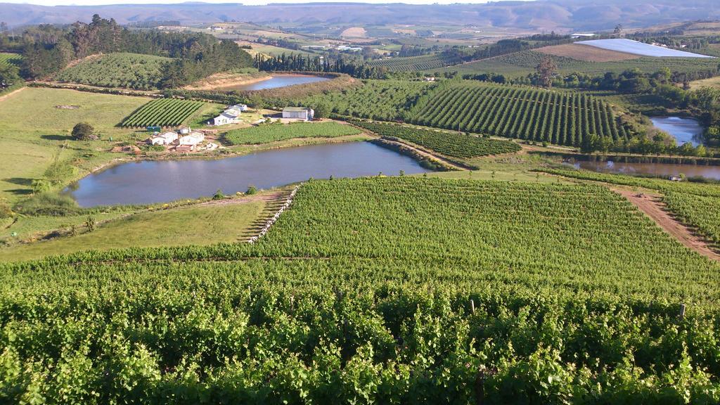 Paul Wallace Wines & Cottages Elgin (Western Cape) Exterior foto