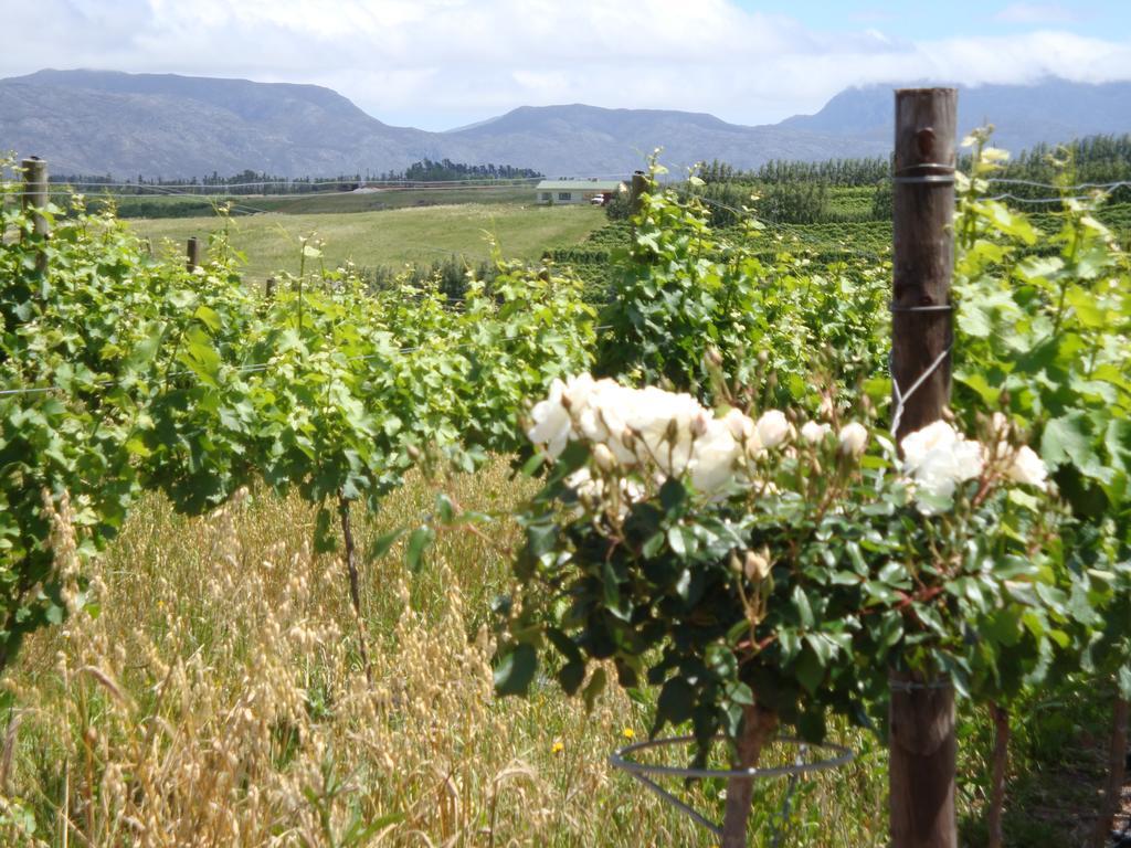 Paul Wallace Wines & Cottages Elgin (Western Cape) Exterior foto