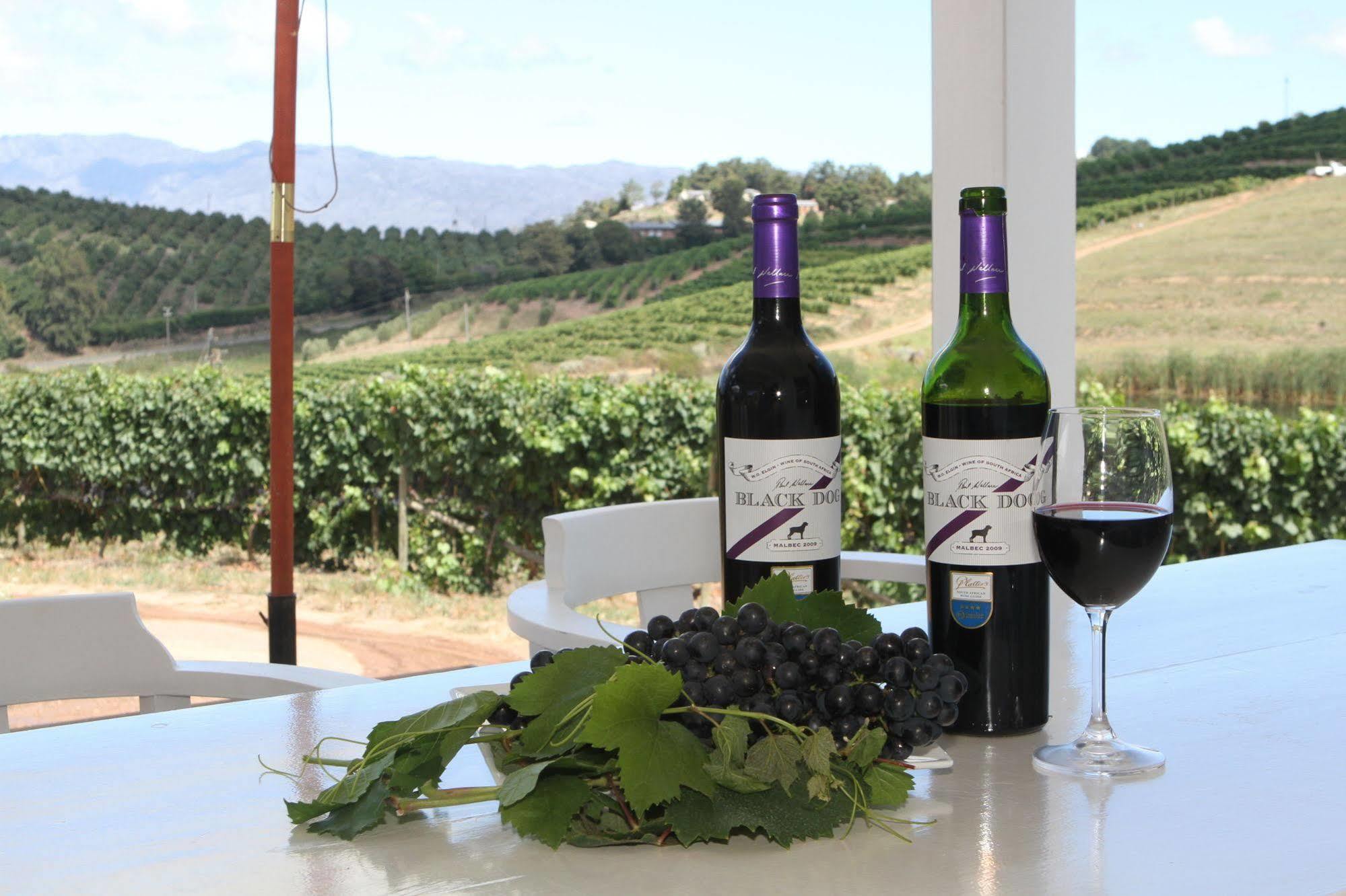 Paul Wallace Wines & Cottages Elgin (Western Cape) Exterior foto