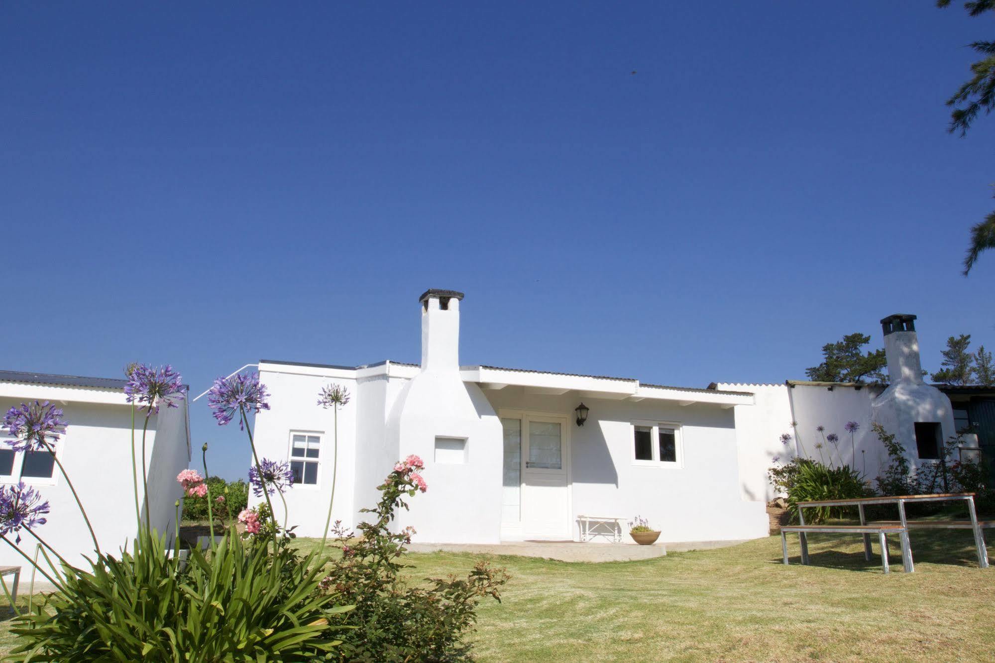 Paul Wallace Wines & Cottages Elgin (Western Cape) Exterior foto
